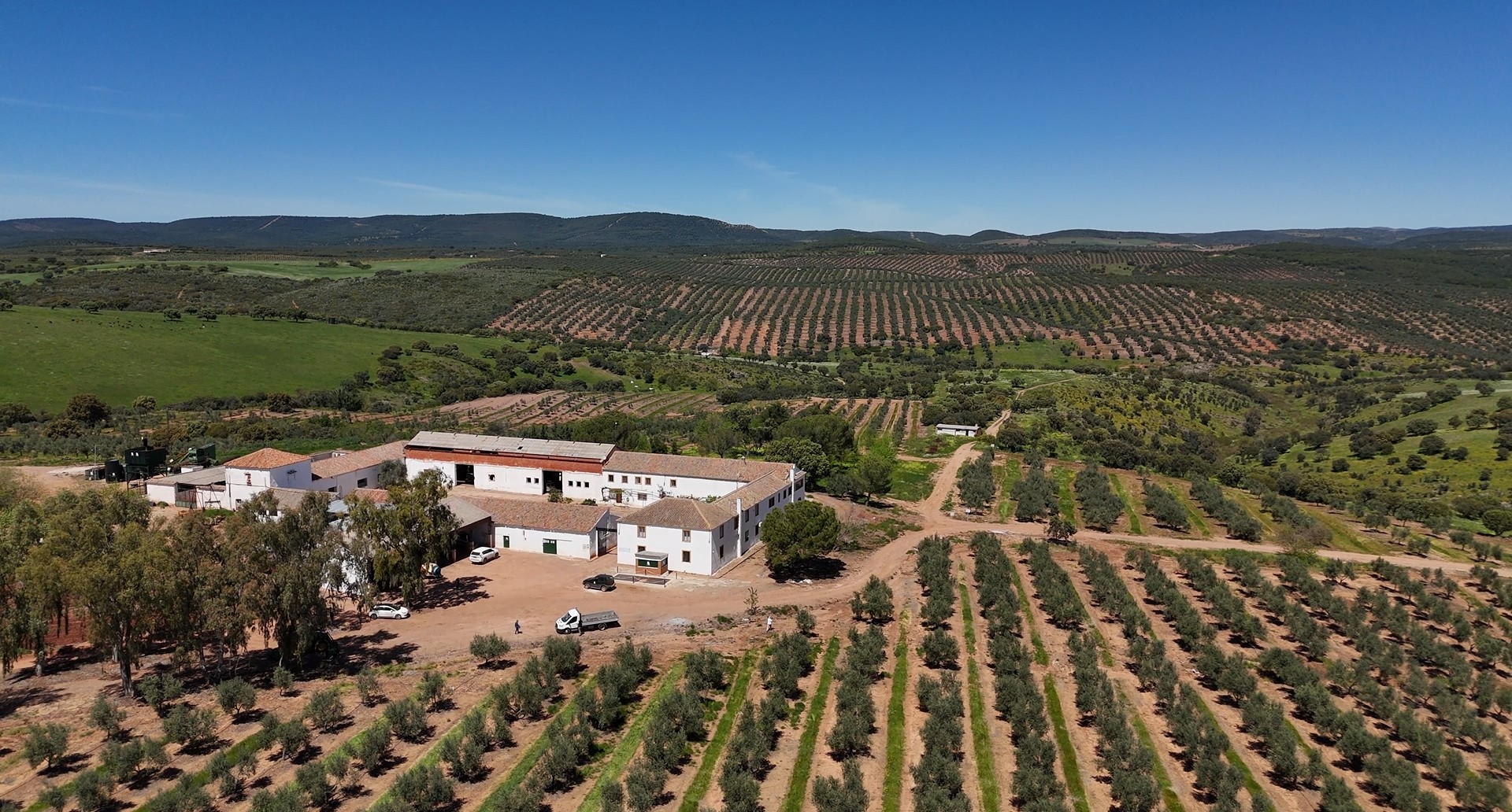 Cultiva Carbono - El Mesto