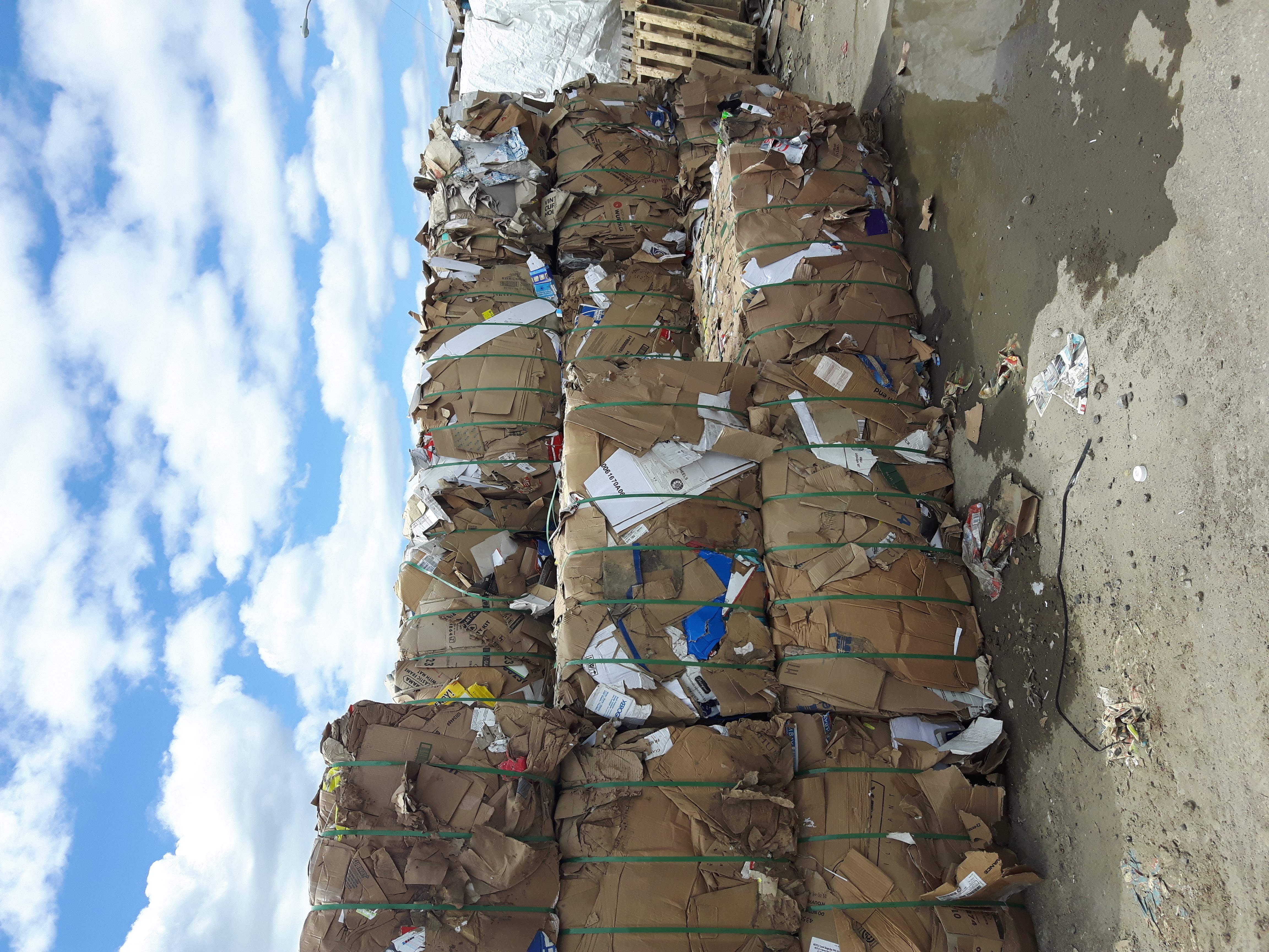 Sustainable Community - Image 1