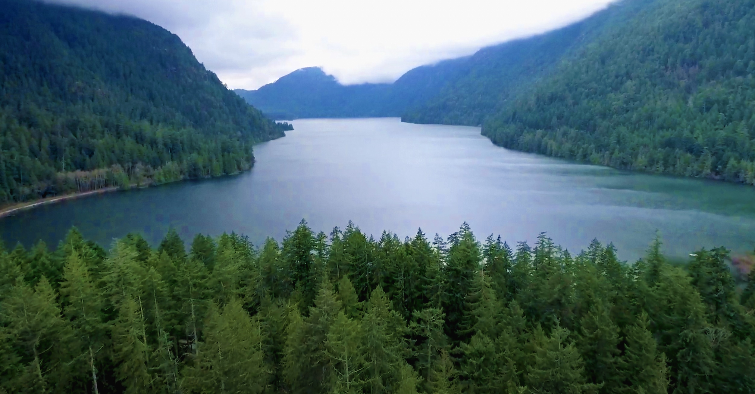 BIGCOAST FOREST CLIMATE INITIATIVE - Image 46