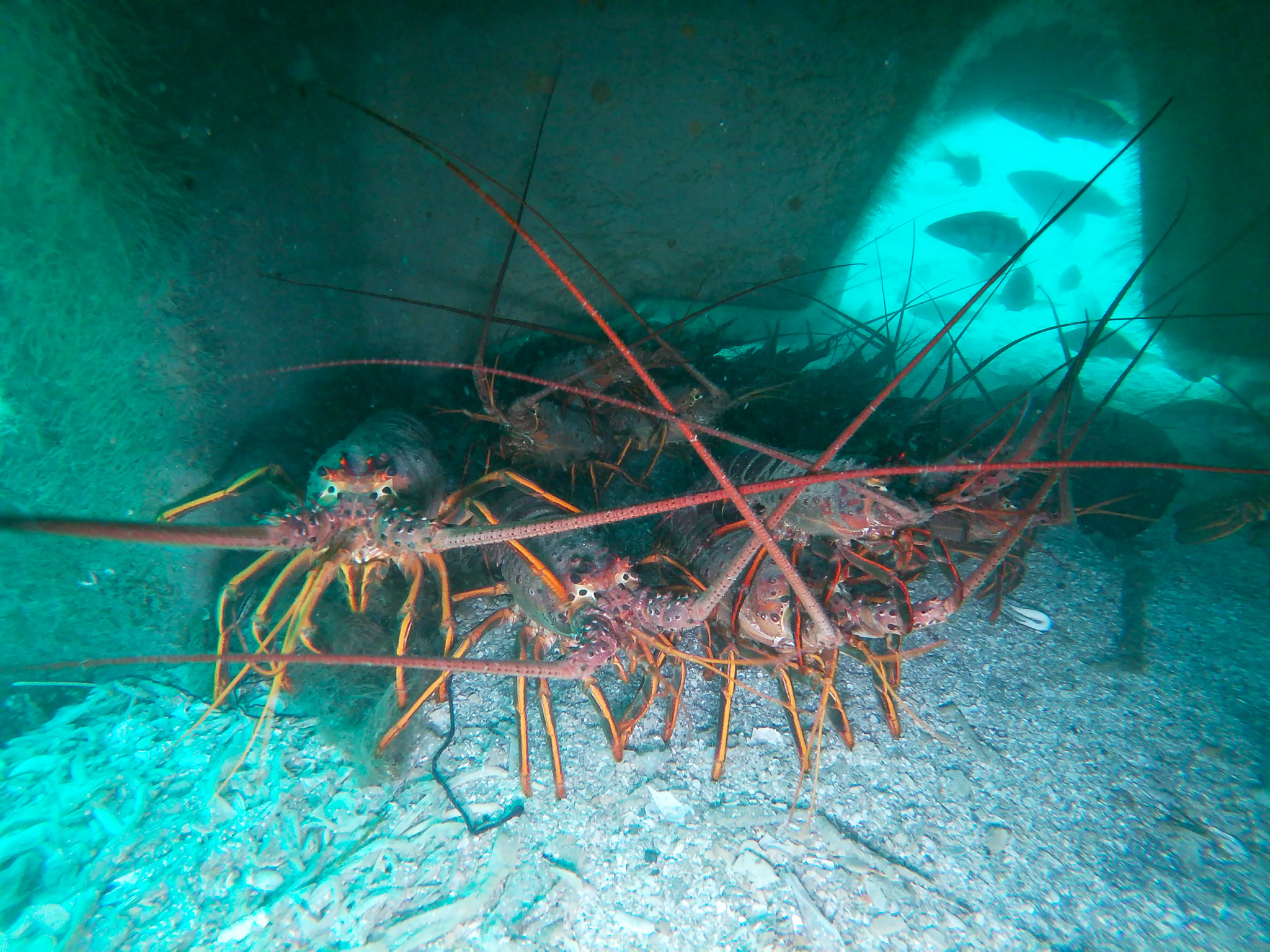 Sea Cave True Blue Carbon, Baja California, Mexico - Image 2