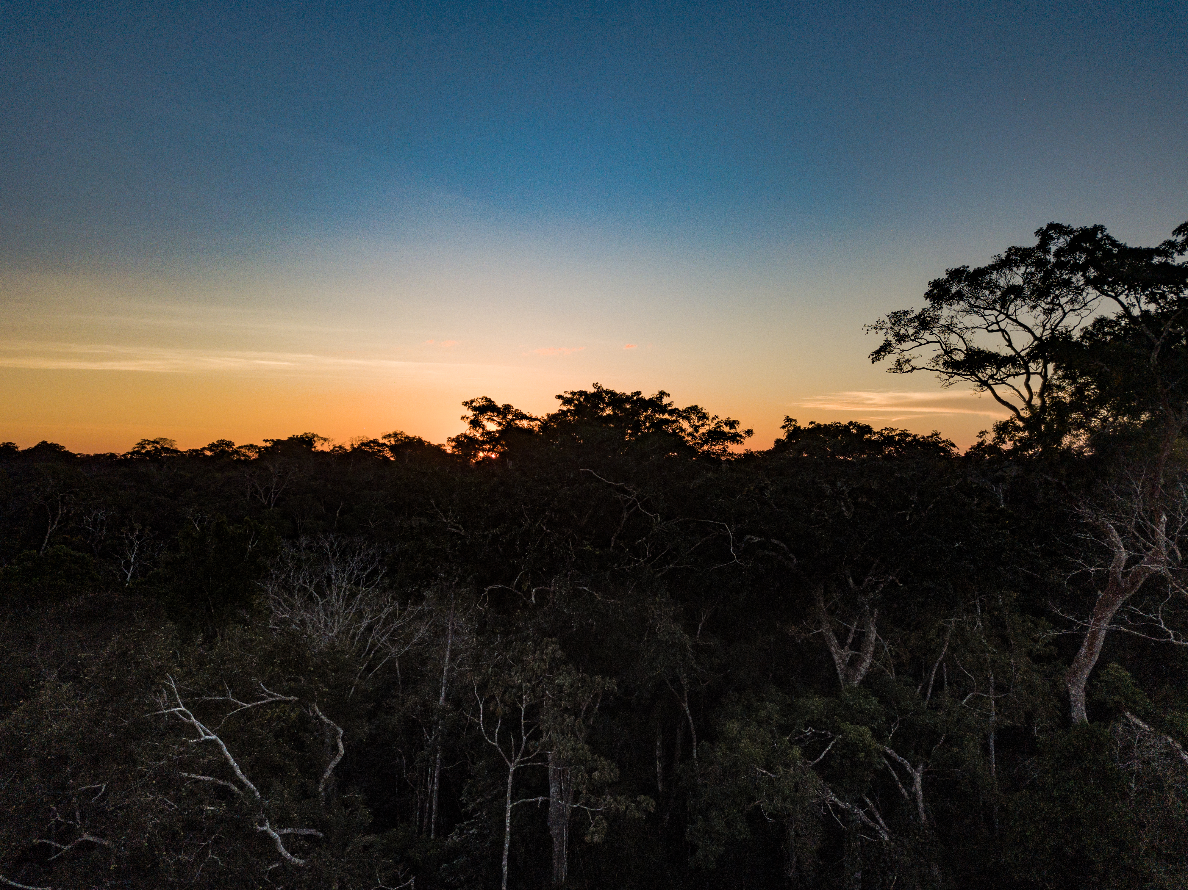 Tahuamanu Amazon REDD Project - Image 3