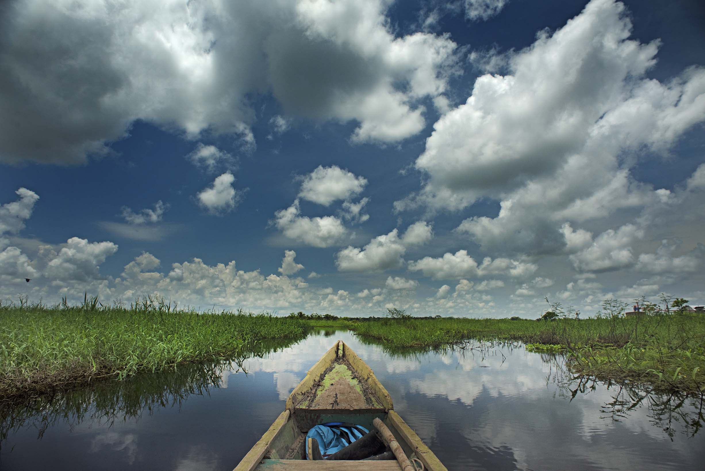 REDD+ THE LAST HABITAT - Image 1