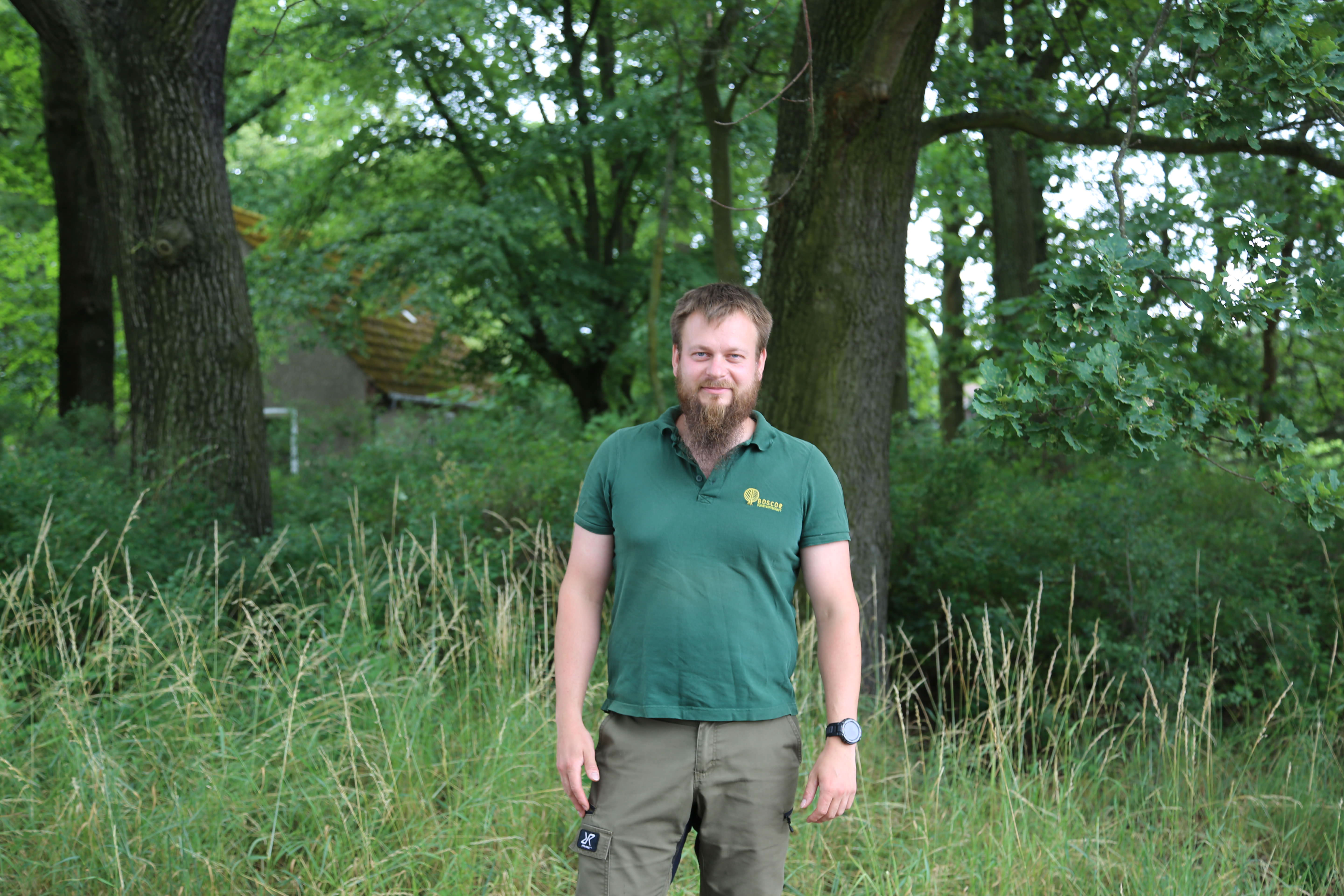 Pina Earth: Turning a monoculture into a biodiverse forest in Germany, Brandenburg - Luckaitz Valley - Image 5