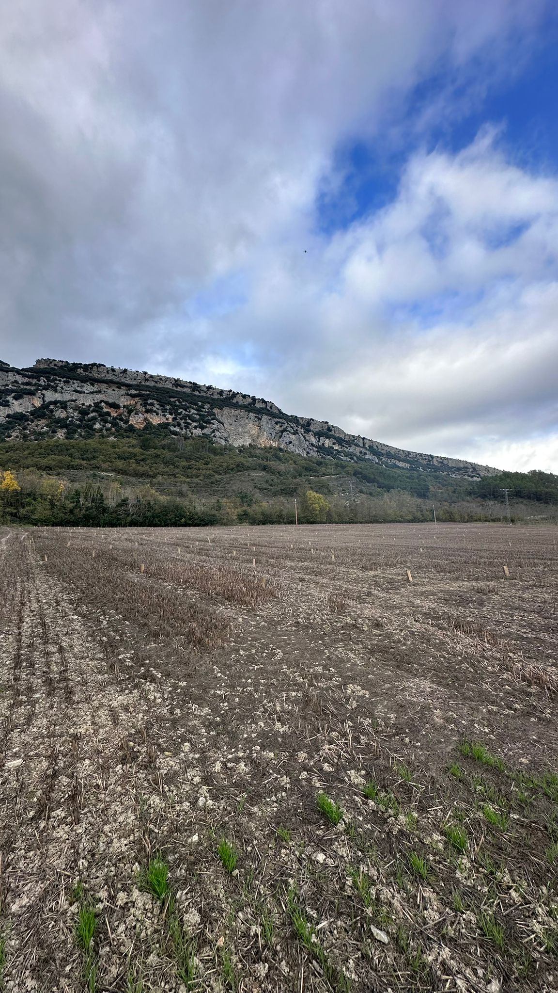 BOSQUE ELÍO - Image 5