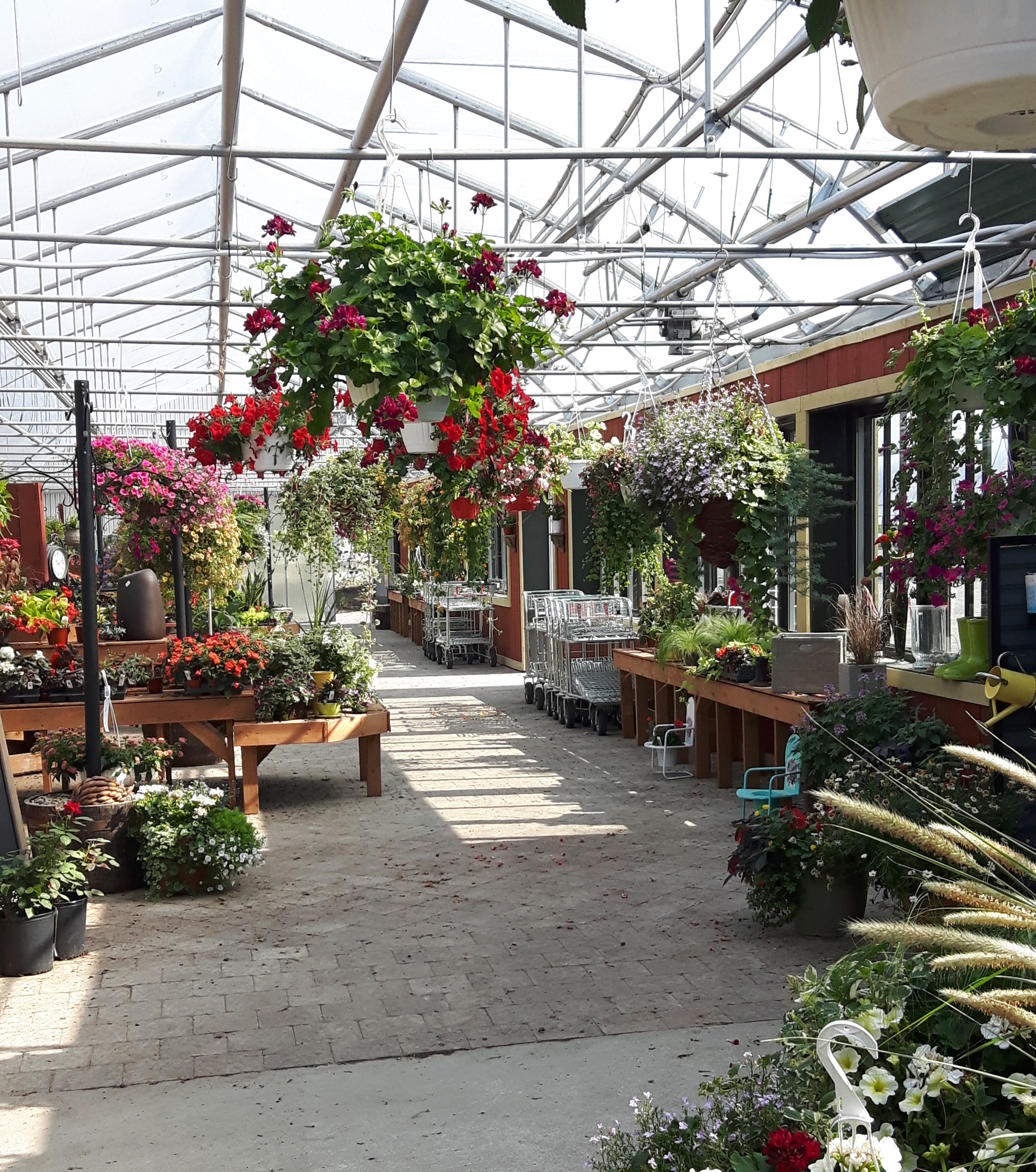 Sustainable Community - Image 4