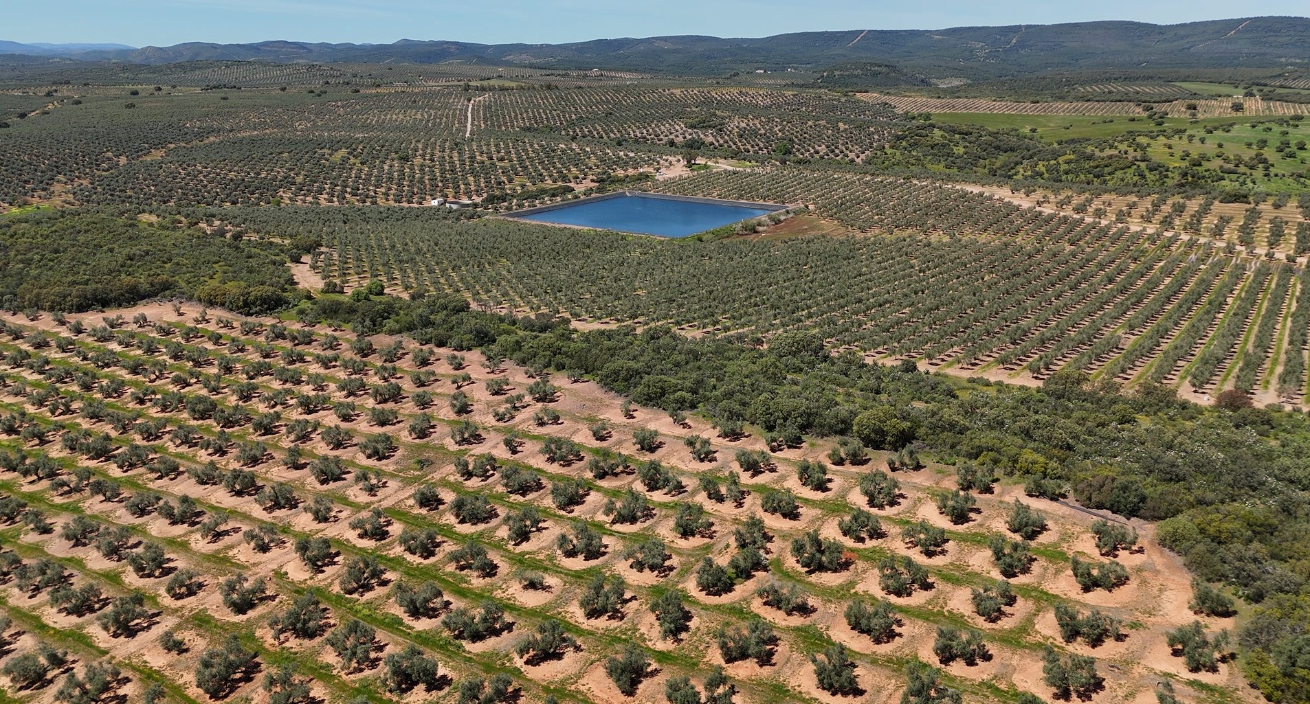 Cultiva Carbono - El Mesto - Image 2