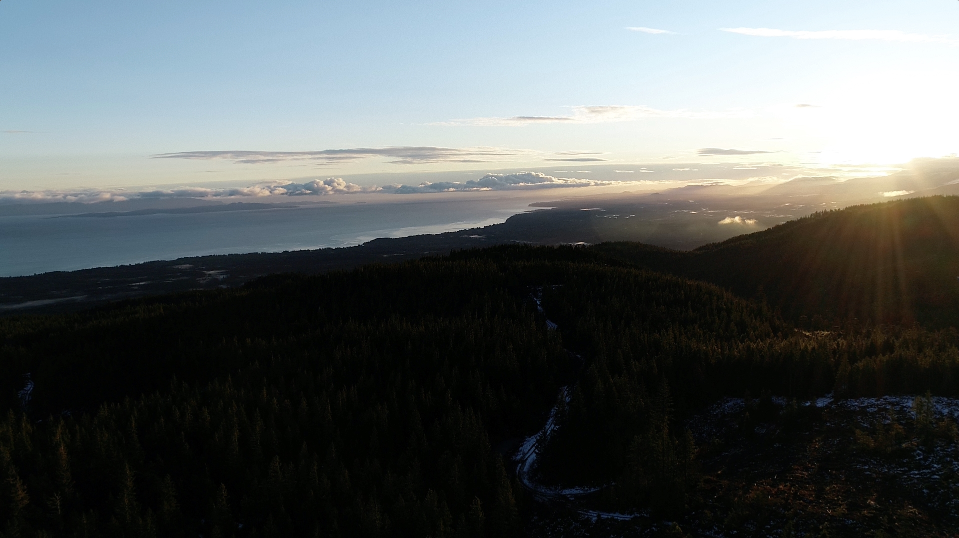 BIGCOAST FOREST CLIMATE INITIATIVE - Image 41