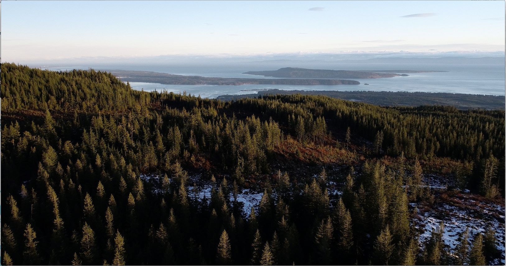 BIGCOAST FOREST CLIMATE INITIATIVE - Image 24