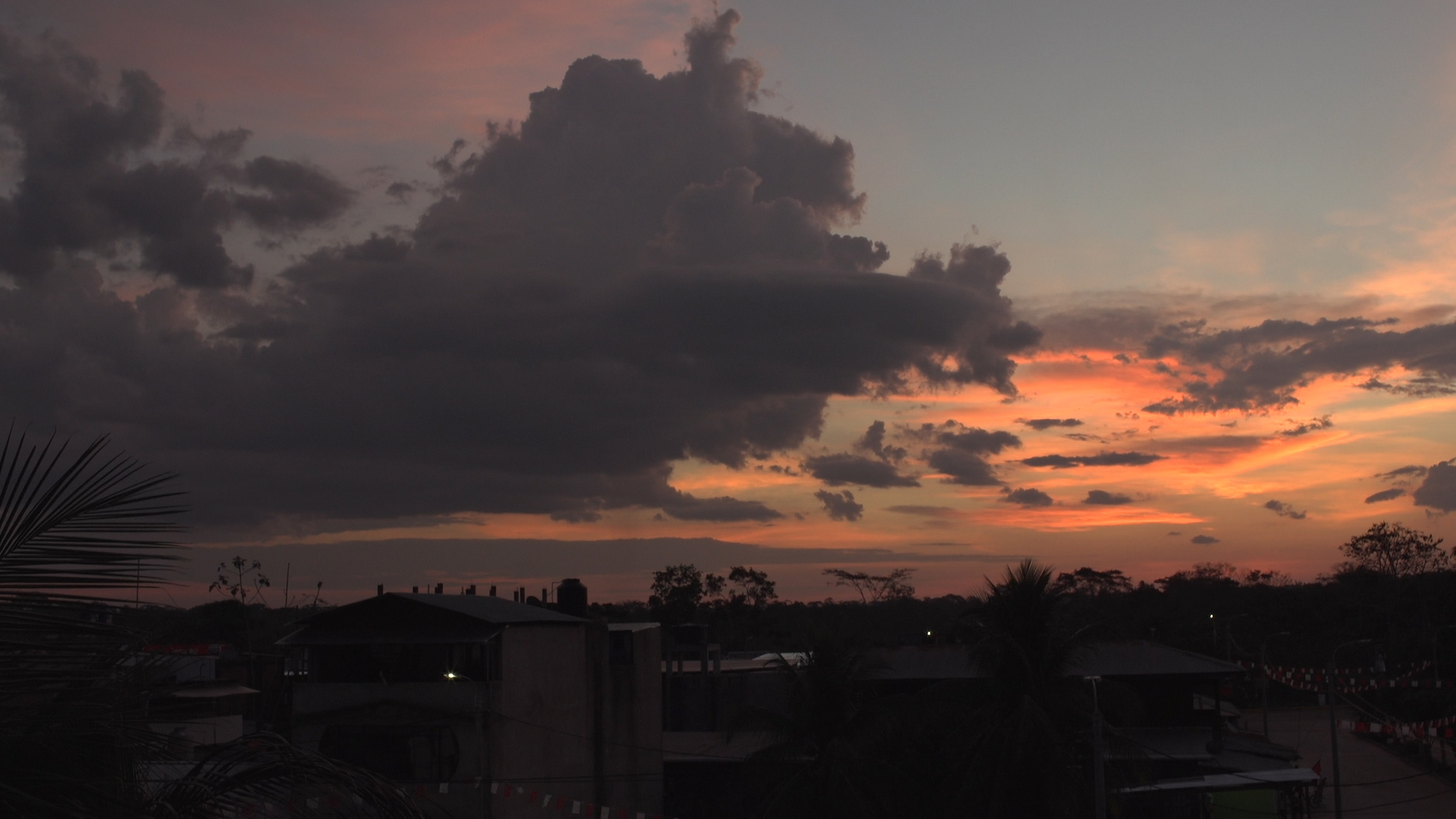 Tahuamanu Amazon REDD Project - Image 1