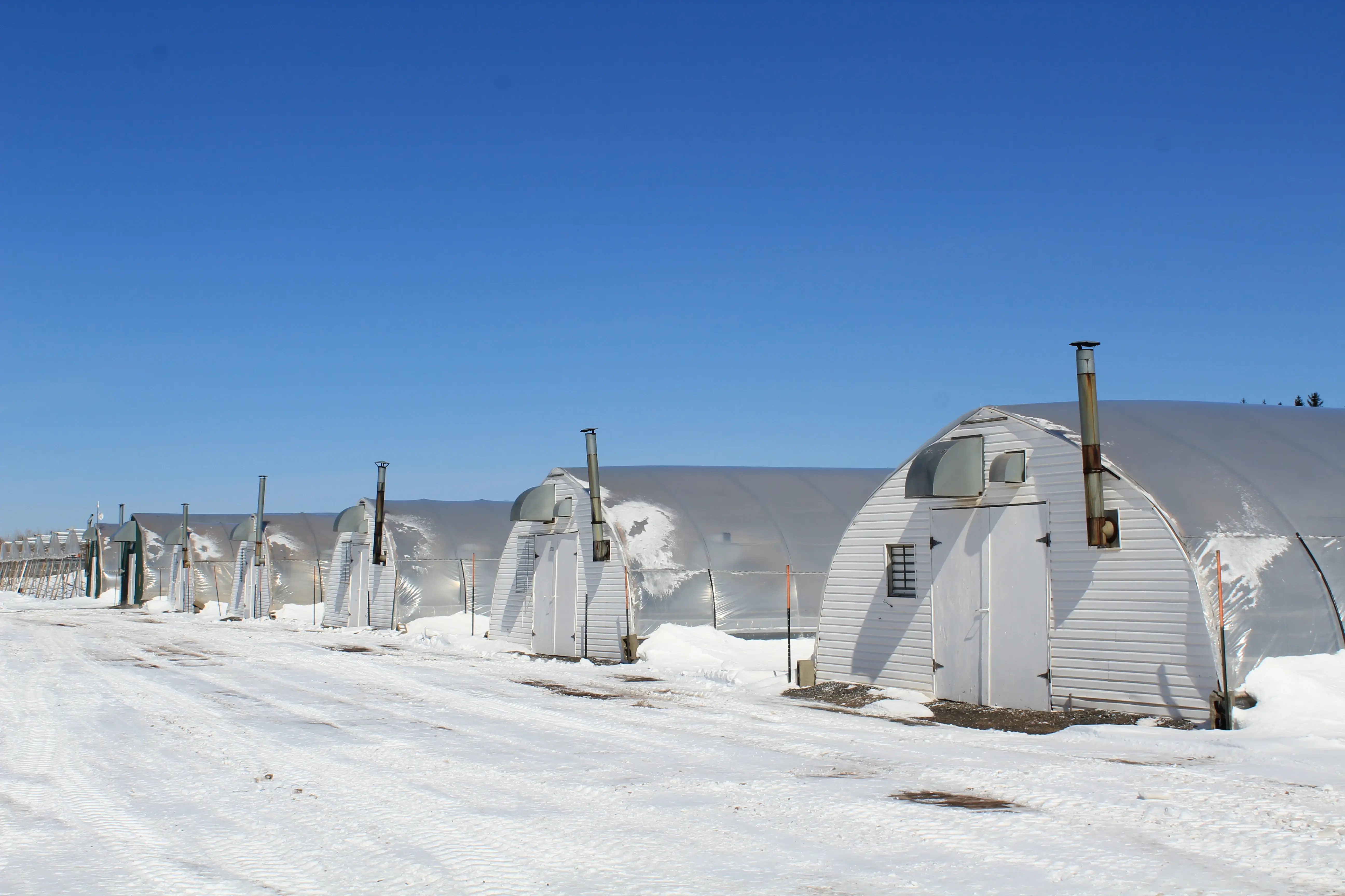 Sustainable Community - Image 15